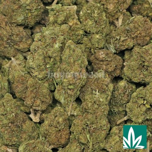 Low Runtz Strain - 2