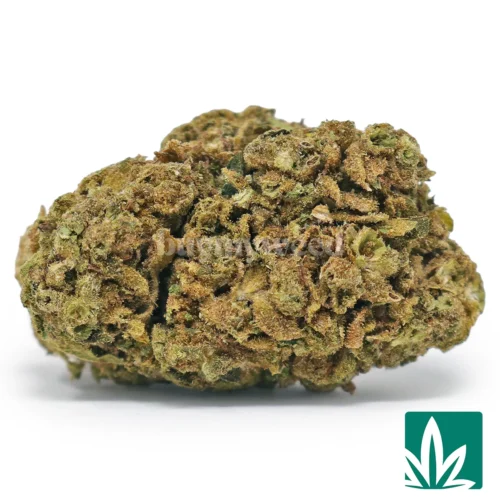 Low Runtz Strain - 1