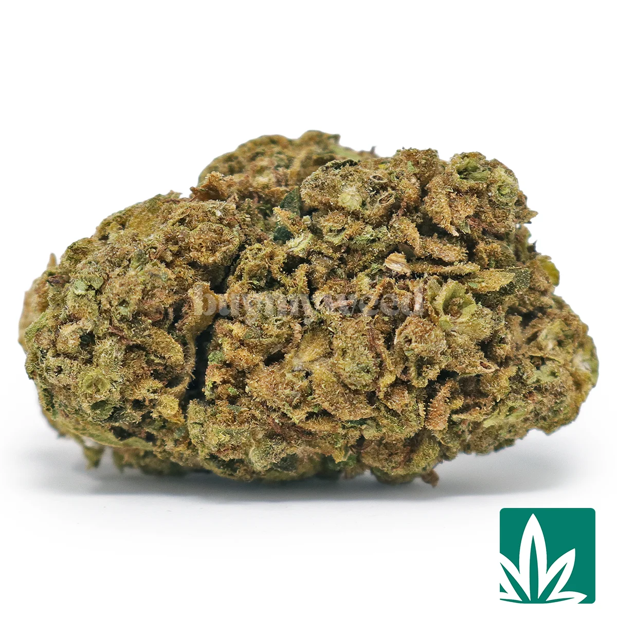 Low Runtz Strain - 1