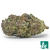 Midnight Runtz Strain - 1