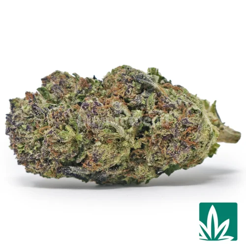 Midnight Runtz Strain - 1