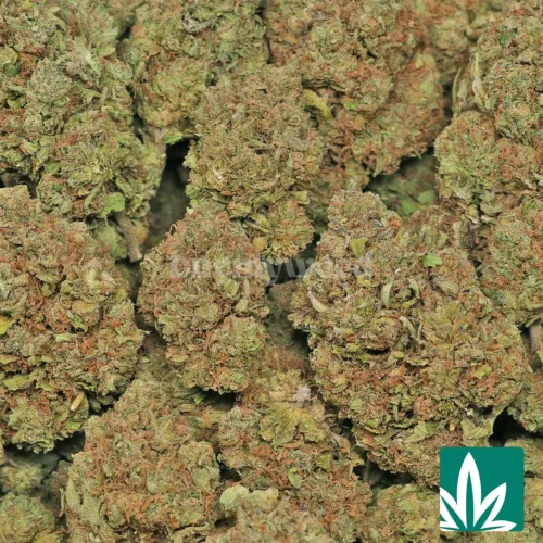 Mochi Strain - 2