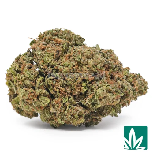 Mochi Strain - 1