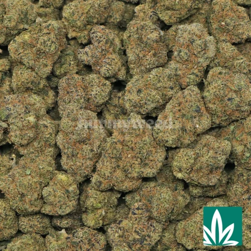 Pink Candy Strain - 2