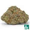 Pink Candy Strain - 1