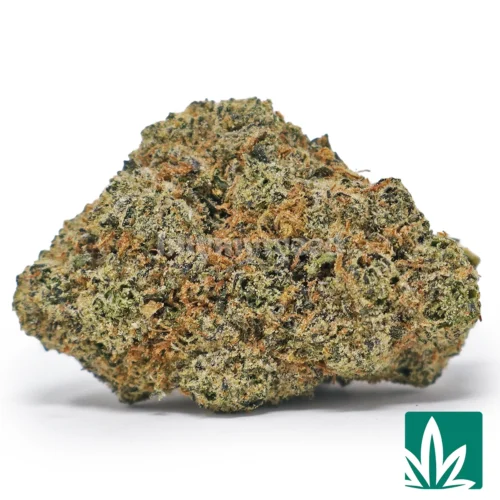 Pink Candy Strain - 1