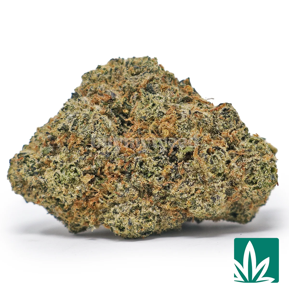 Pink Candy Strain - 1
