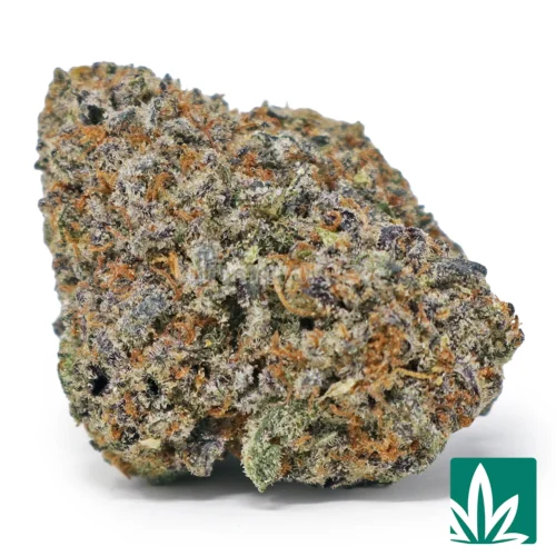Pop Rox Strain - 1