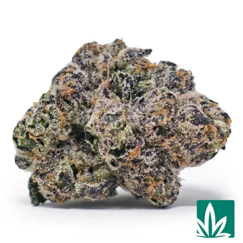 Purple Rain Strain - 1