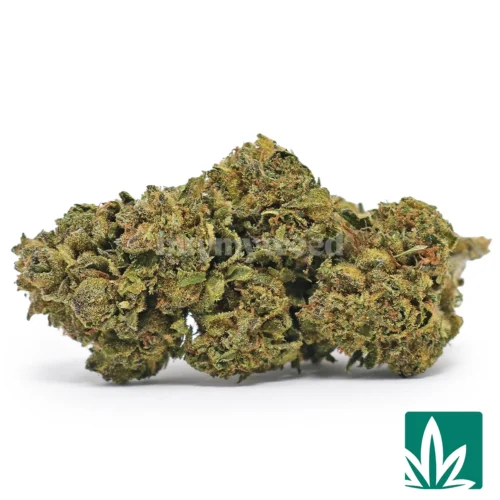 Runtz Mode Strain - 1