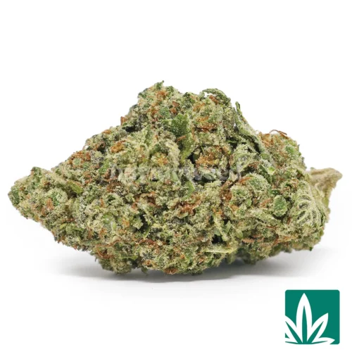 Runtz OG Strain - 1