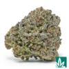 Scottie Pippen Strain - 1