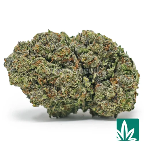 Sherbinski Strain - 1