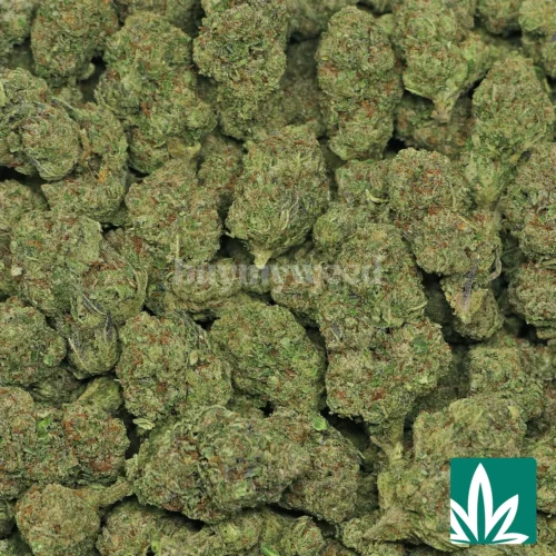 Sour Z Bangers Strain - 2