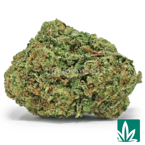 Sour Z Bangers Strain - 1