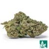 Super LCG Strain - 1