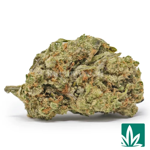 Super Lemon Haze Strain - 1