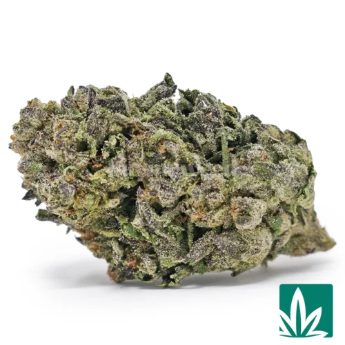 Tokyo Gumdrop Strain - 1