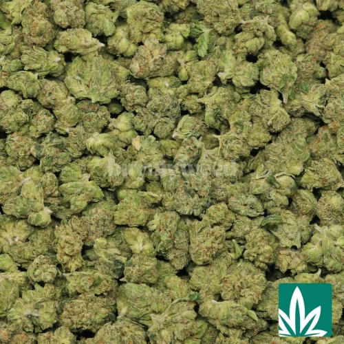 True OG 'Smalls' Strain - 2
