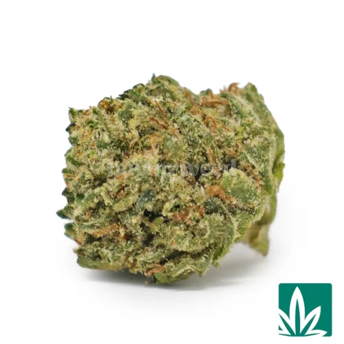 True OG 'Smalls' Strain - 1