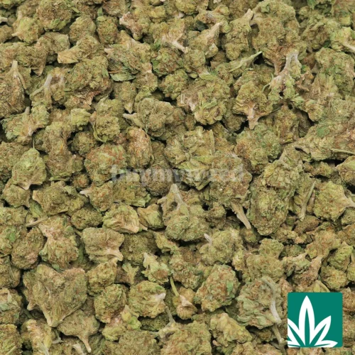 Wedding Crasher 'Smalls' Strain - 2