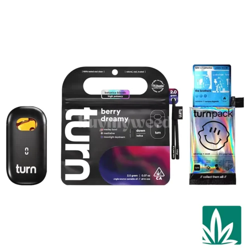 Turn Botanica Blends AIO (2g) - Berry Dreamy - 1