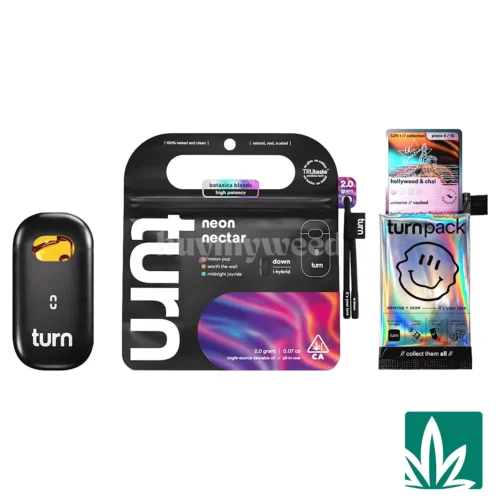 Turn Botanica Blends AIO (2g) - Neon Nectar - 1