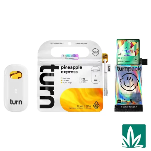 Turn Botanica Blends AIO (2g) - Pineapple Express - 1