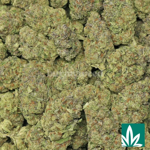 Birthday Cake Strain - 2