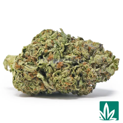 Birthday Cake Strain - 1