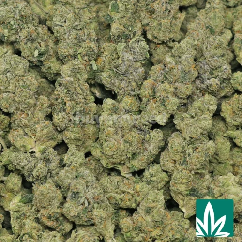 Candy Combustion Strain - 2