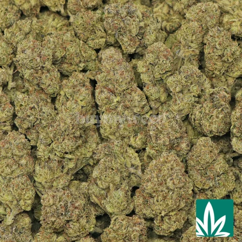 Candy Royale Strain - 2