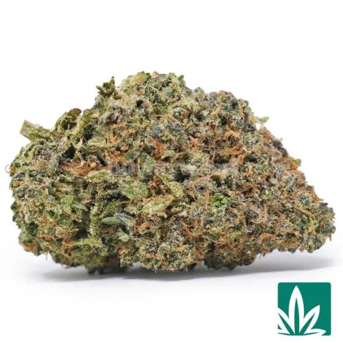 Chemdawg Strain - 1