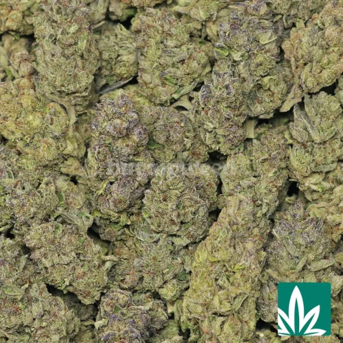 Cherry Cake Strain - 2