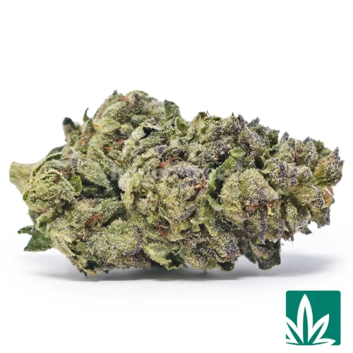 Cherry Cake Strain - 1