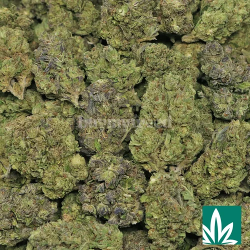 Double Runtz Strain - 2
