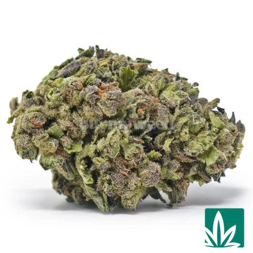 Double Runtz Strain - 1