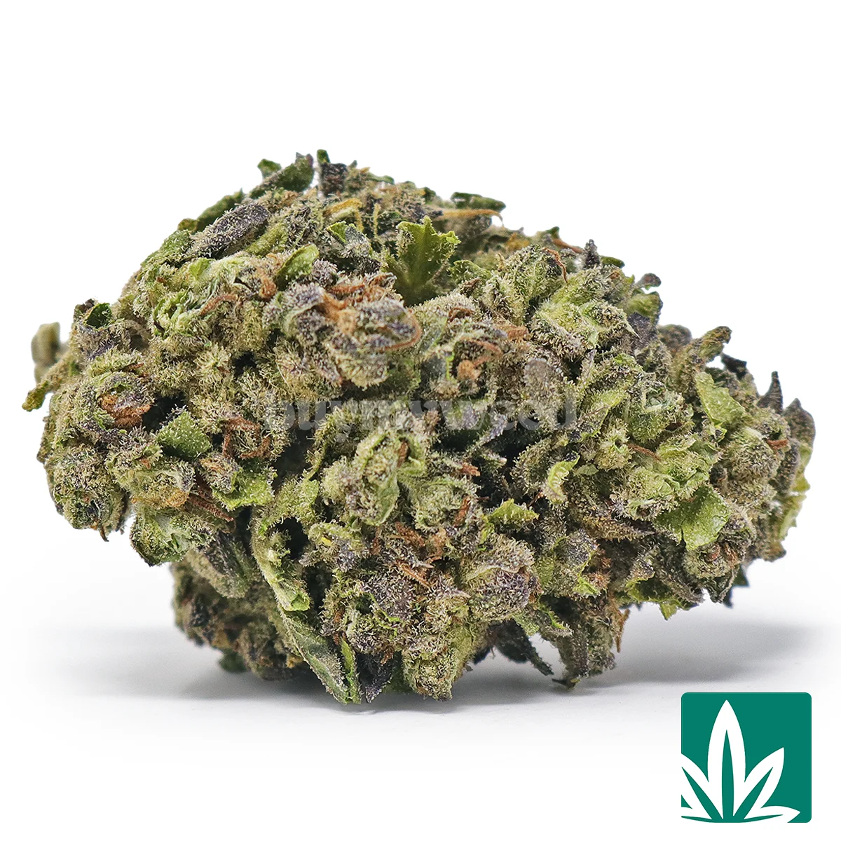 Double Runtz Strain - 1
