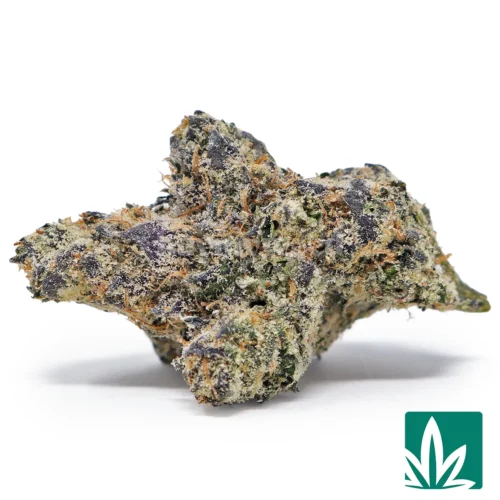 Exotic Gary Payton Strain - 1