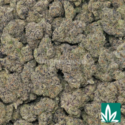 Galactic Runtz Strain - 2