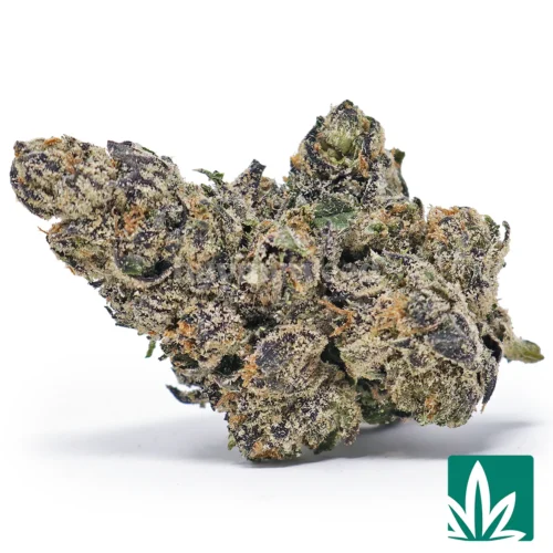 Galactic Runtz Strain - 1