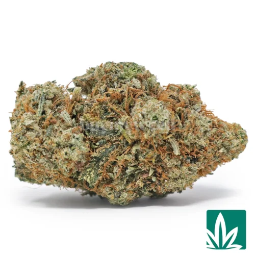 Gorilla Glue 4 Strain - 1