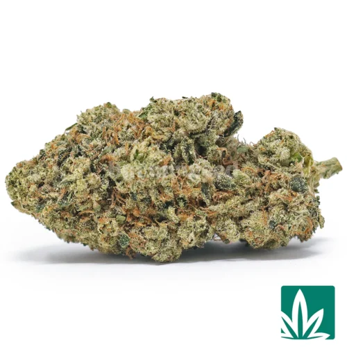 Headband OG Strain - 1