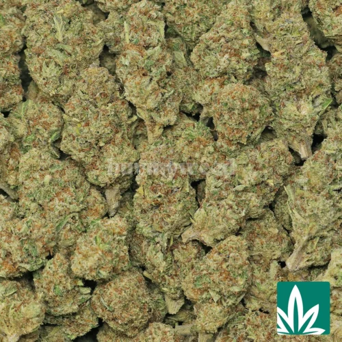 Lemonatti Strain - 2