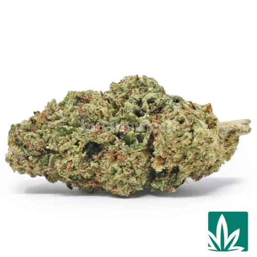 Lemonatti Strain - 1
