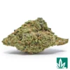 Lemon Drops Strain - 1