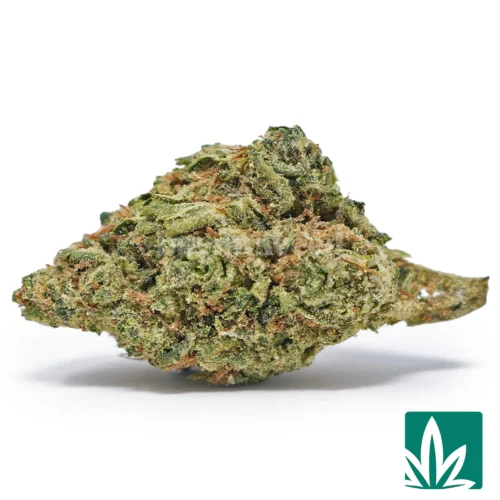 Lemon Drops Strain - 1