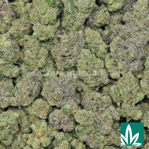 Neon Runtz Strain - 2