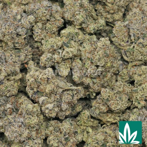 Purple Push Pop Strain - 2