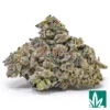 Purple Push Pop Strain - 1
